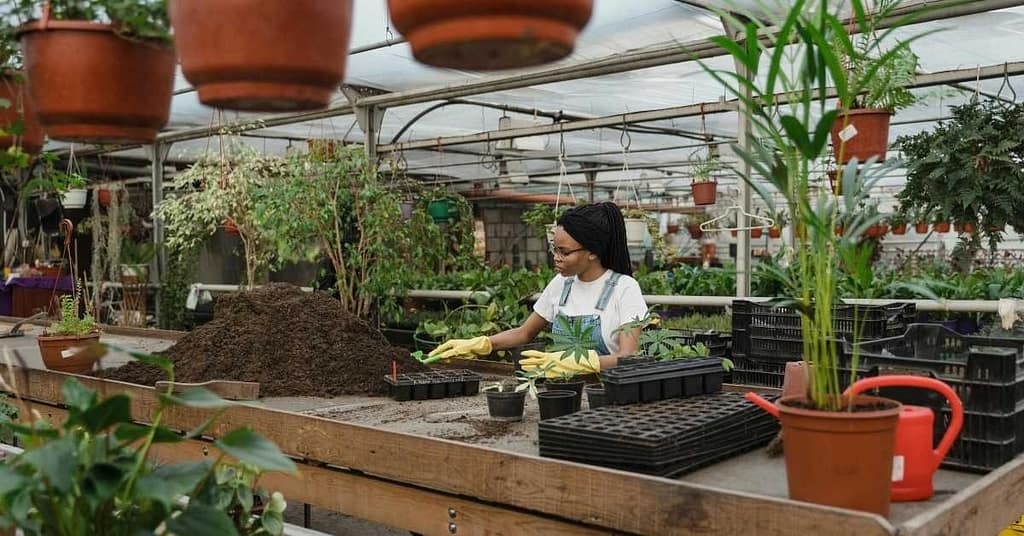 Composting and Soil Health Workshops