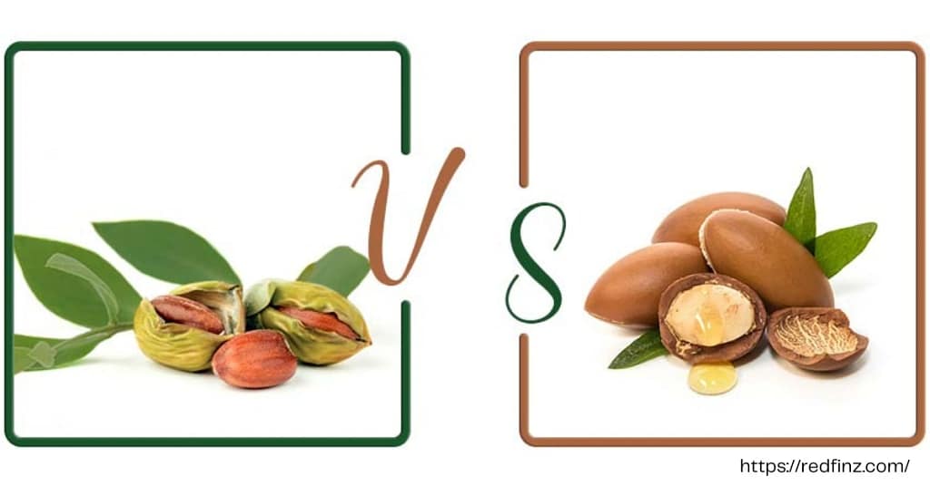 How it compares to other oils like argan or jojoba