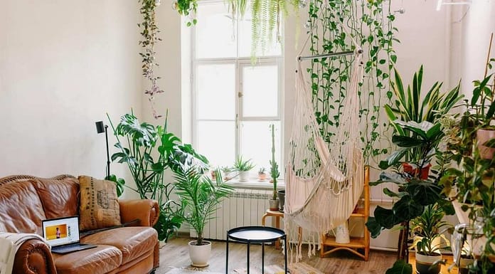 Greenery Interior Design: A Natural Way to Transform Spaces Greenery Interior Design
