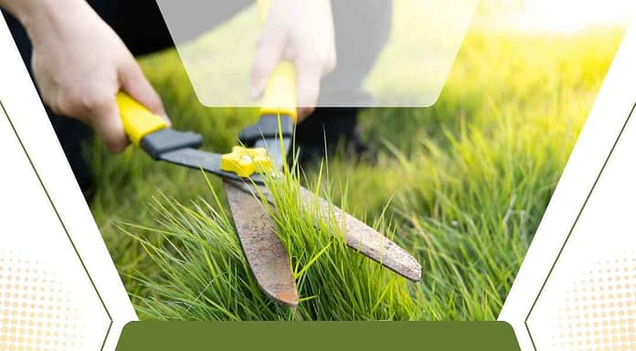 The Ultimate Guide to Laying Turf for a Healthy, Green Lawn Lay Turf Guide | Step-by-Step Turf Installation for a Lush Lawn
