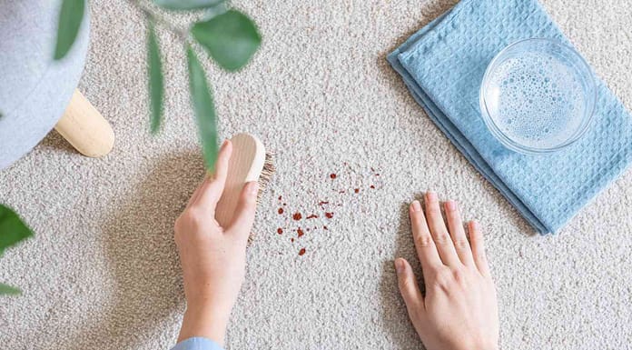 11 Expert Ways to Remove Blood from Your Carpet: A Complete Guide 11 Expert Ways to Remove Blood from Your Carpet A Complete Guide